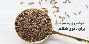 خواص زیره سیاه برای لاغری شکم
